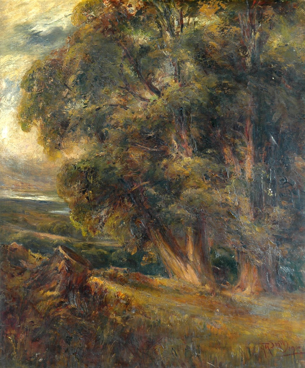 Badanie drzewa autorstwa Arthur Reginald Smith