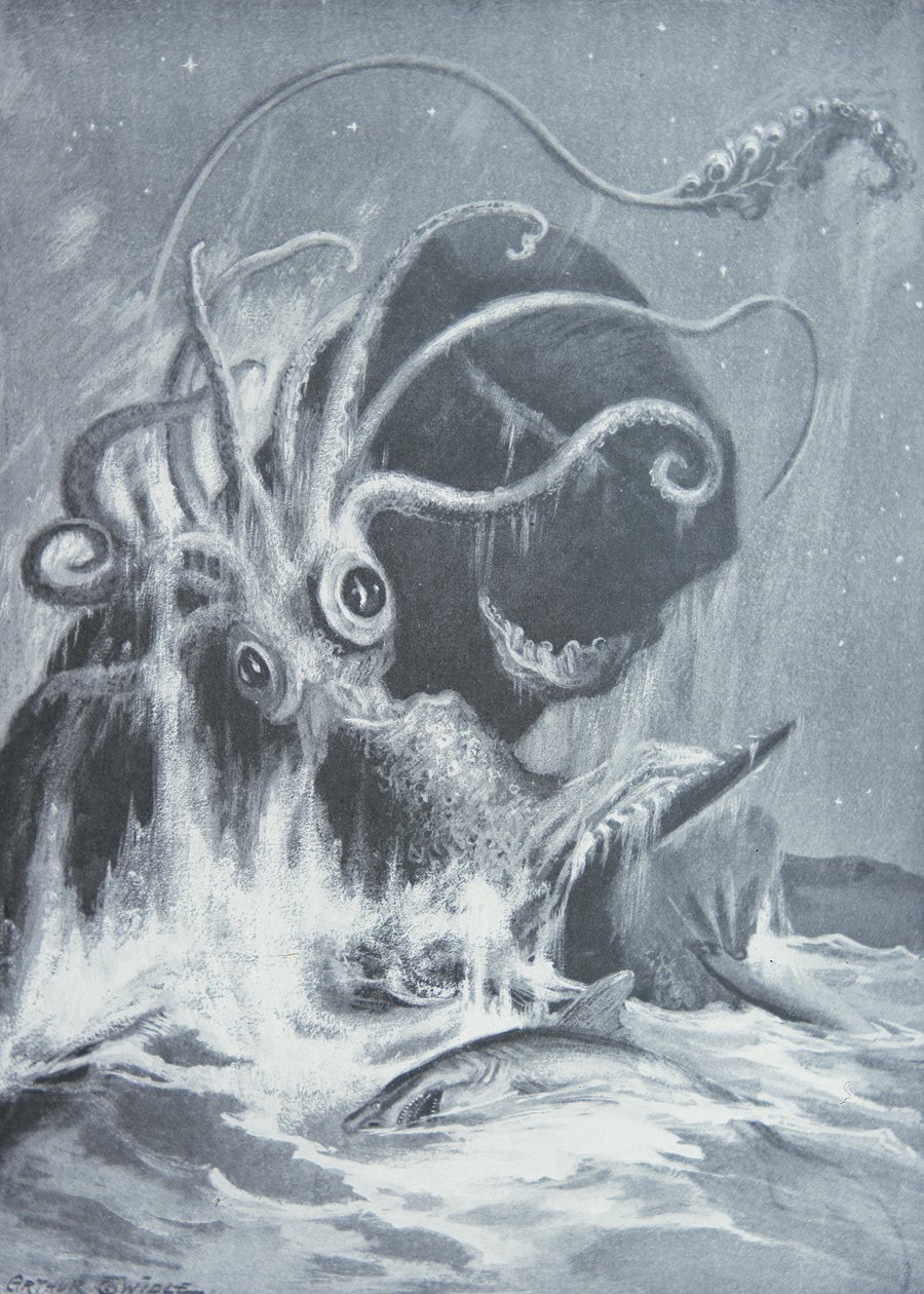 Kraken kontra Kaszaloty autorstwa Arthur Twidle
