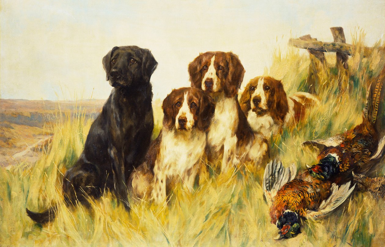 Patrząc w przyszłość (olej na płótnie) autorstwa Arthur Wardle