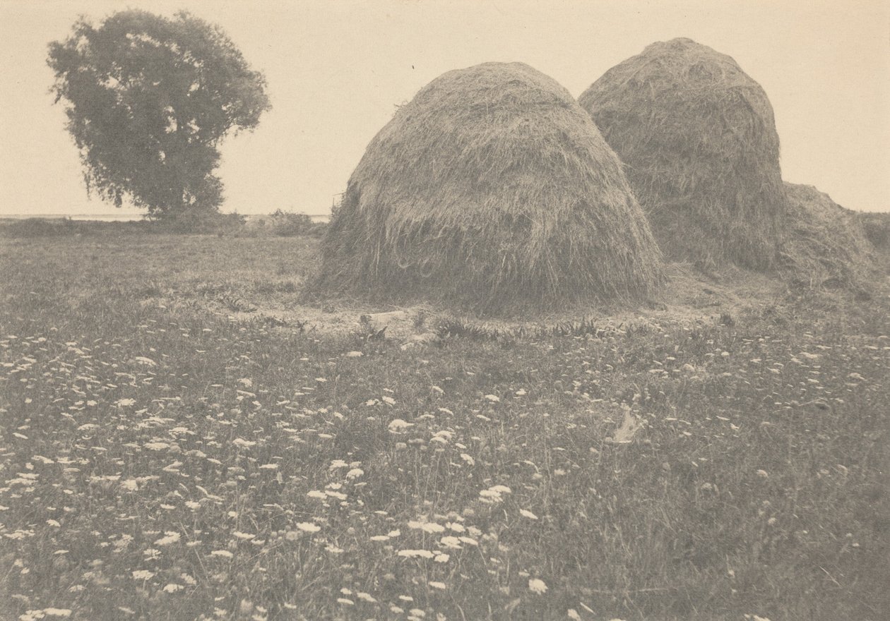 Stogi siana, Ipswich, ok. 1894 (zdjęcie) autorstwa Arthur Wesley Dow