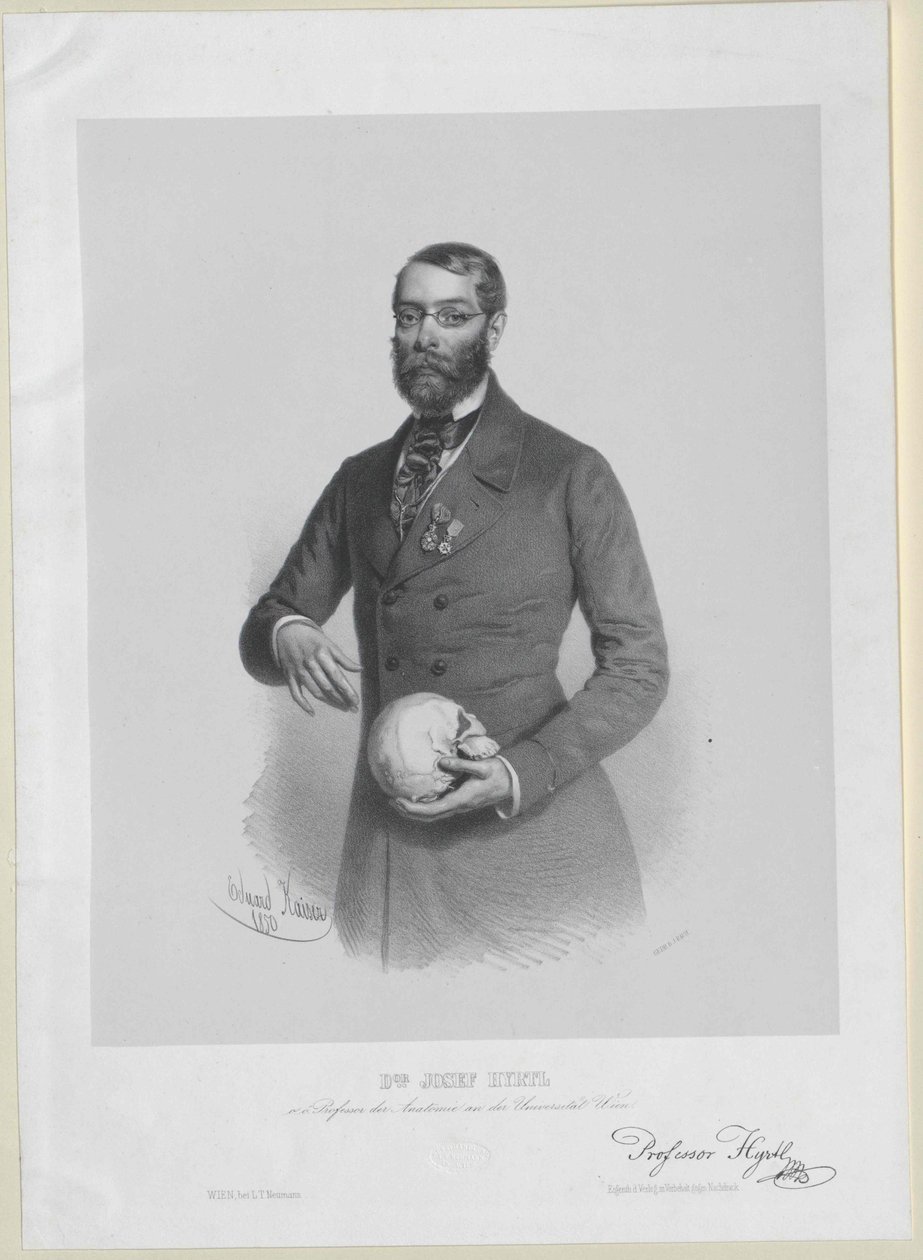 Joseph Hyrtl autorstwa Artist Unknown