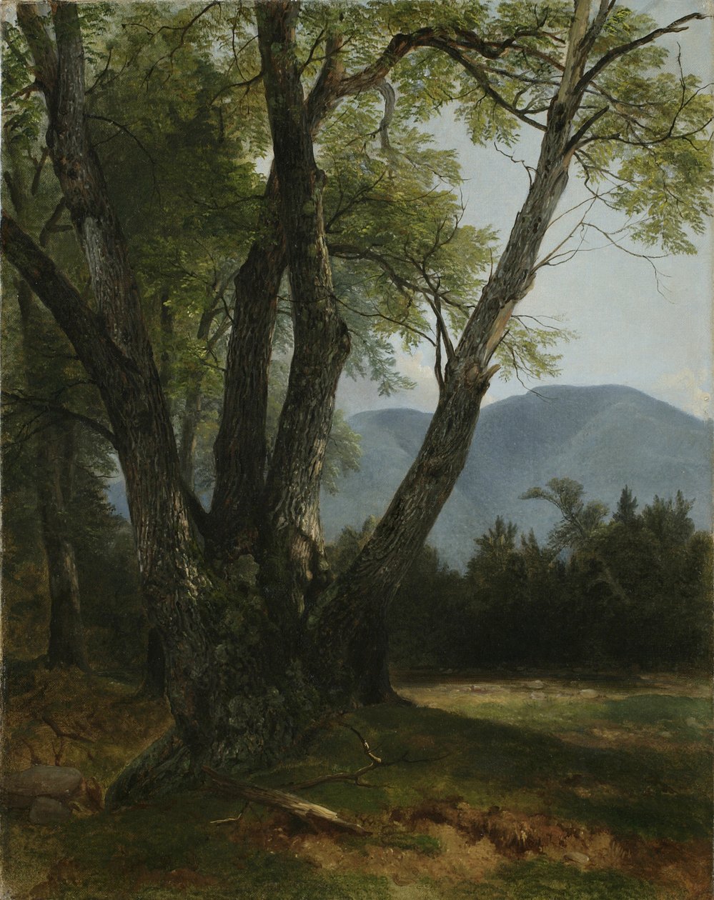 Shandaken, hrabstwo Ulster, Nowy Jork, 1854 r. autorstwa Asher Brown Durand