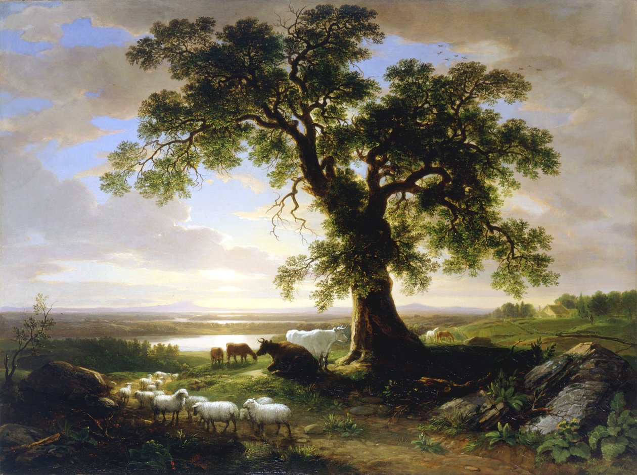 Samotny dąb Stary dąb, 1844 autorstwa Asher Brown Durand