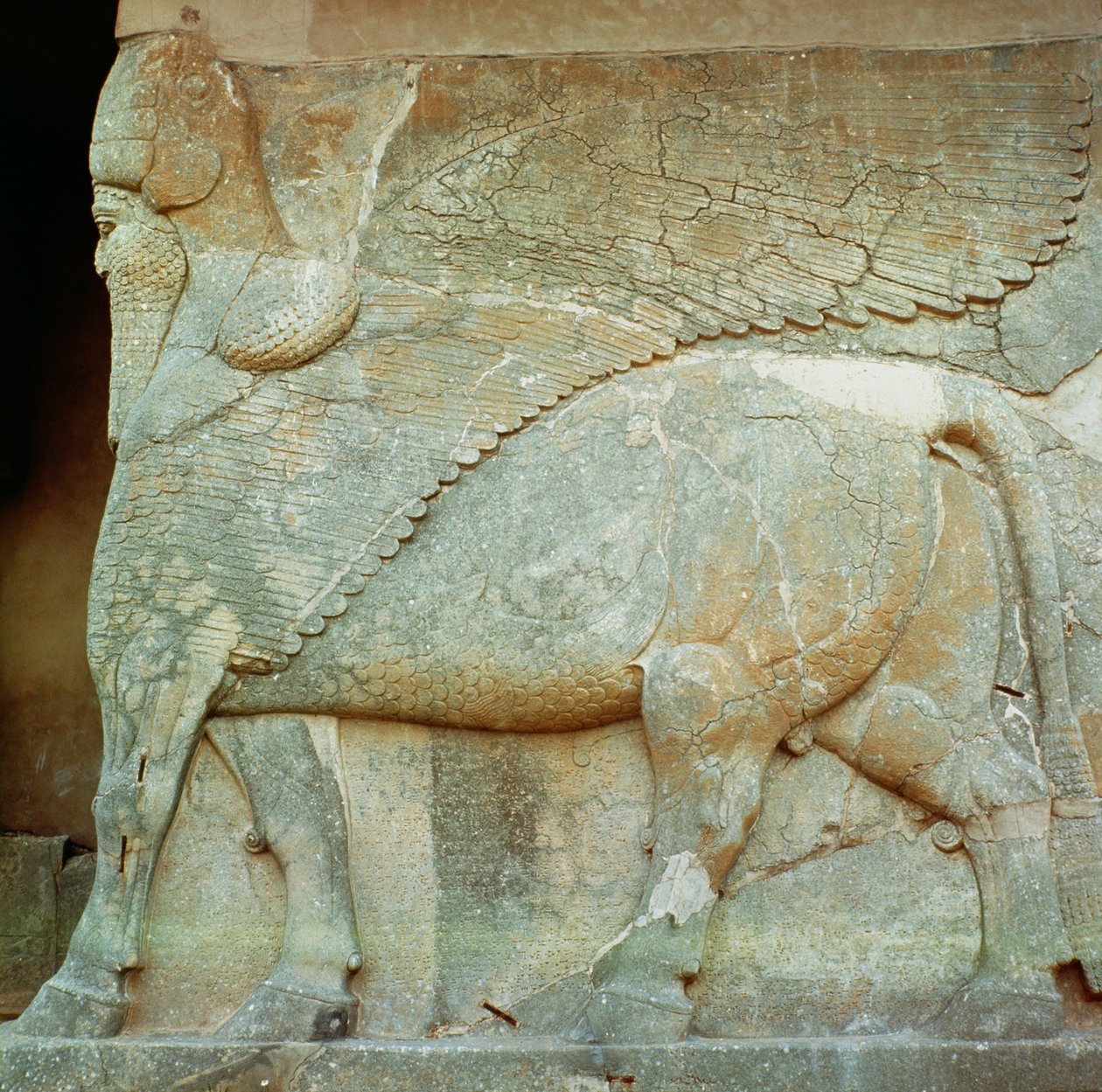 Płaskorzeźba antropomorficznego byka autorstwa Assyrian