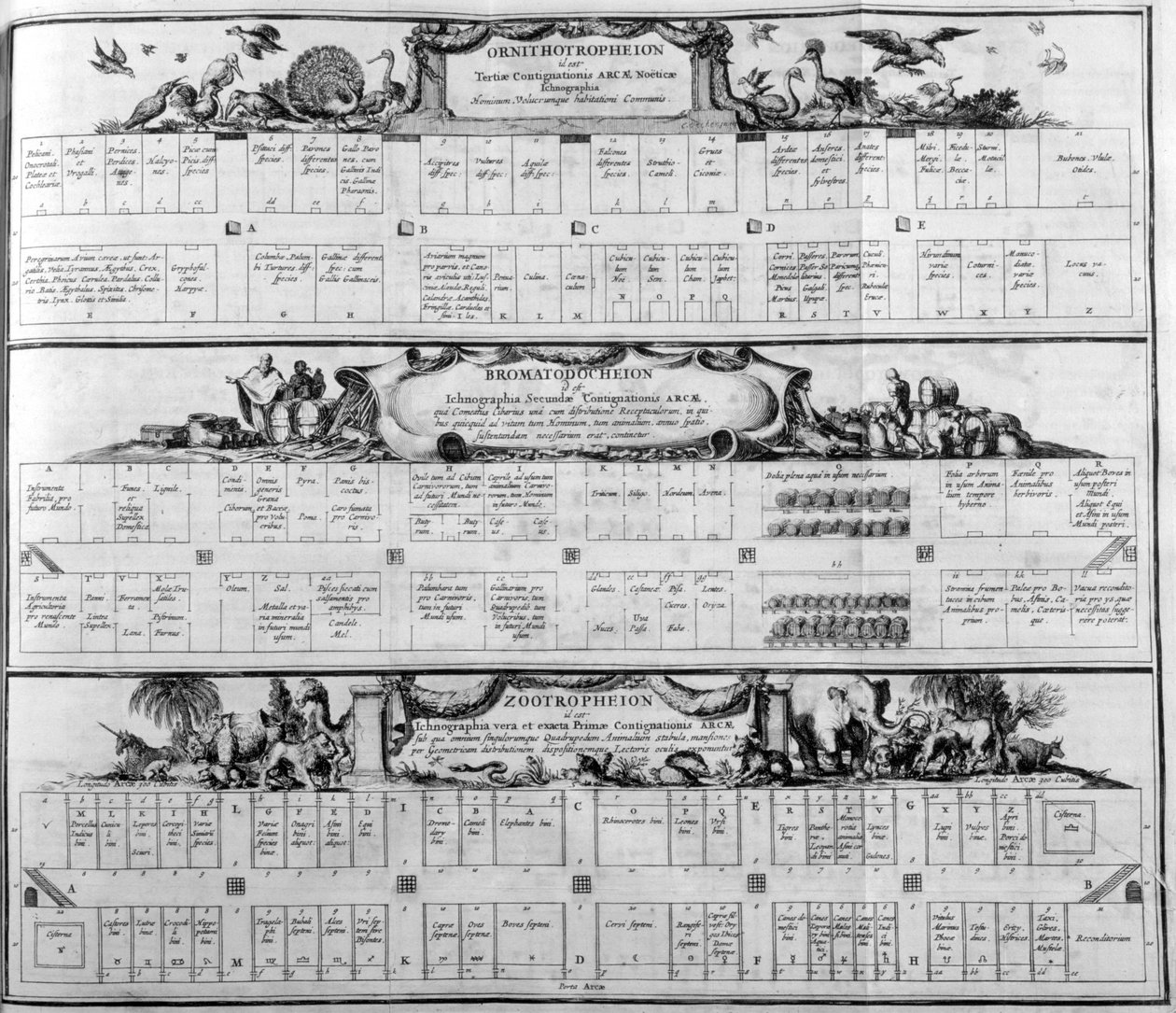 Tabela gatunków, 1765. autorstwa Athanasius Kircher