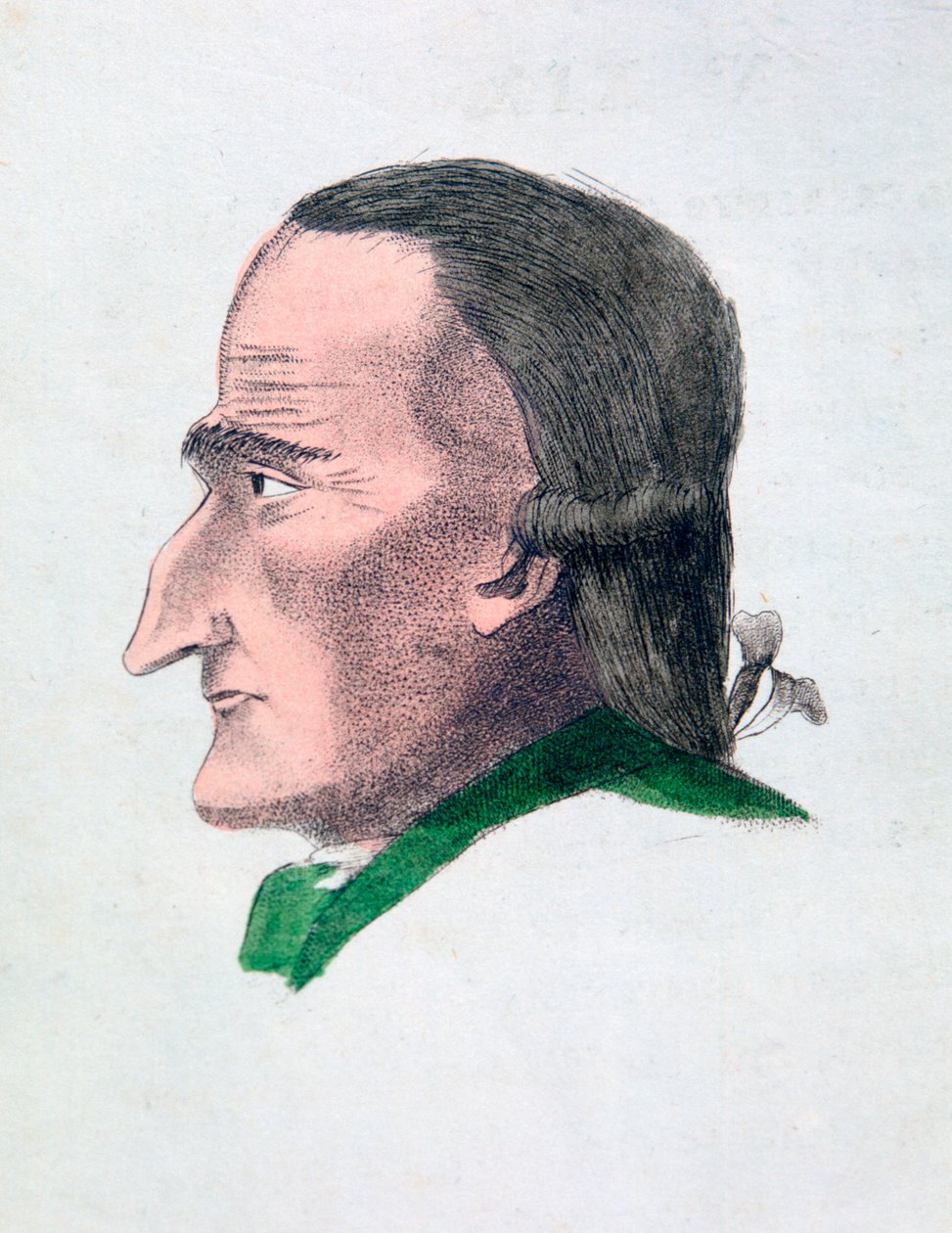 Rysy twarzy skąpiec, 1808 autorstwa Athanasius Kircher