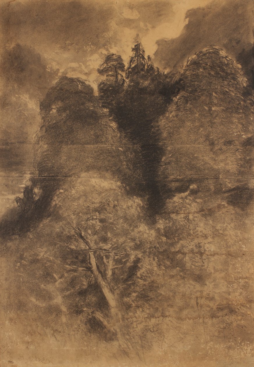 badanie drzewa autorstwa August Schaeffer von Wienwald