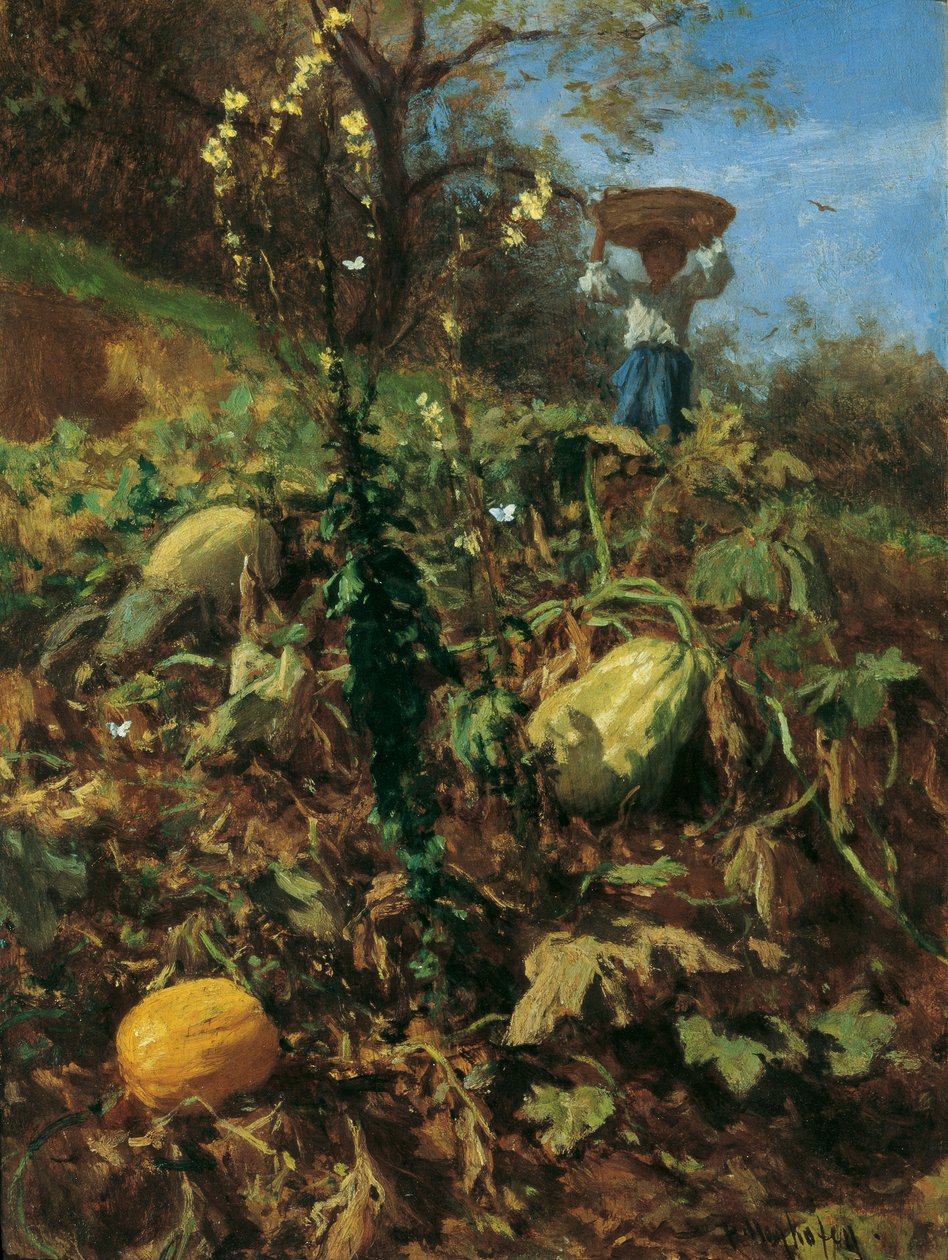 Dyniowy Ogród autorstwa August von Pettenkofen