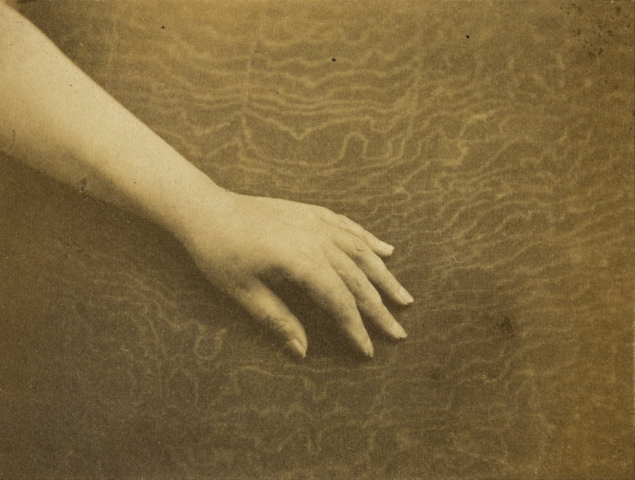 Ręka Madame Hugo autorstwa Auguste Vacquerie