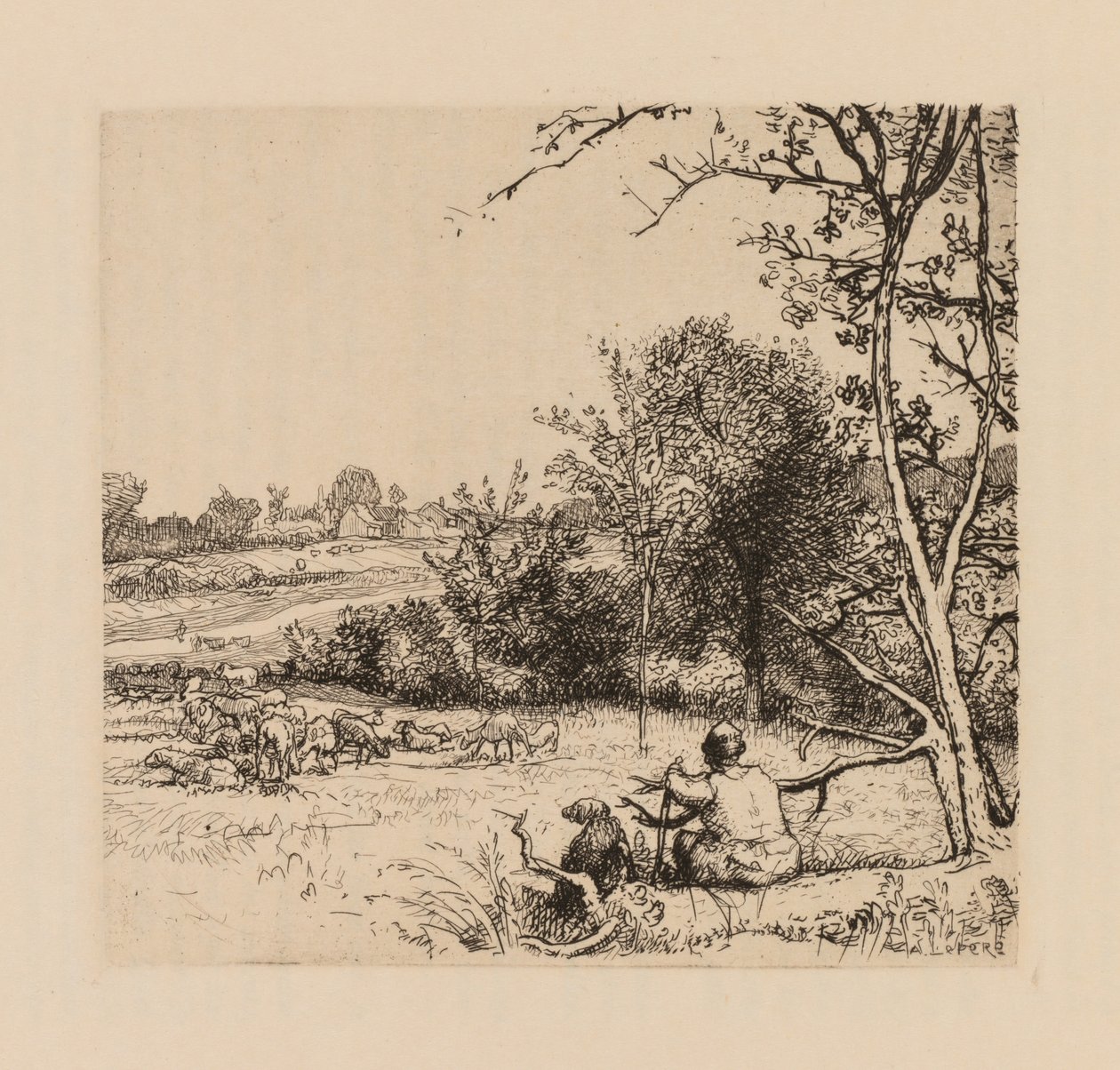 Auguste Lepère: Przewrócona jabłoń Pikardia. autorstwa Auguste Louis Lepère