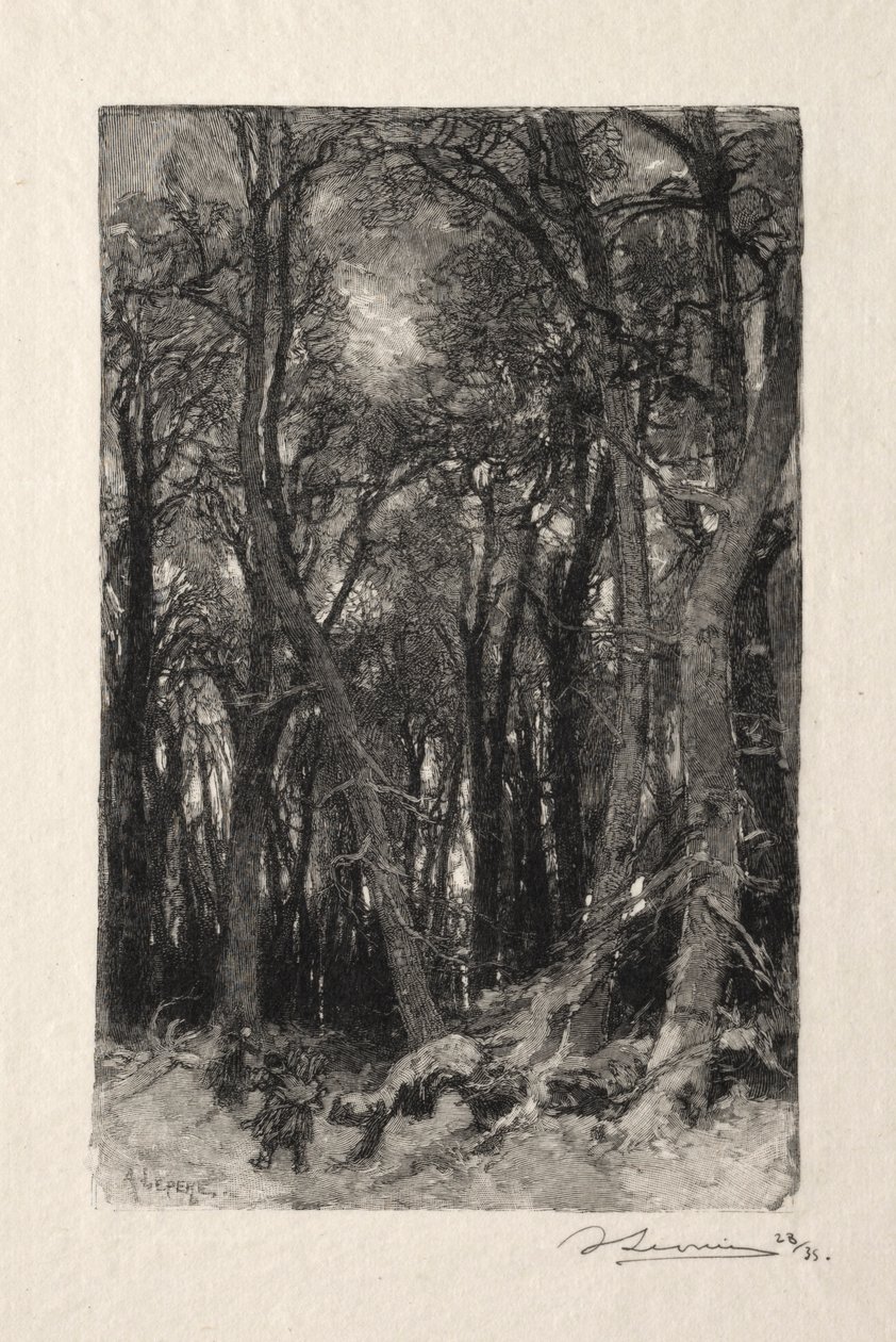 Le Bas-Beau autorstwa Auguste Louis Lepère