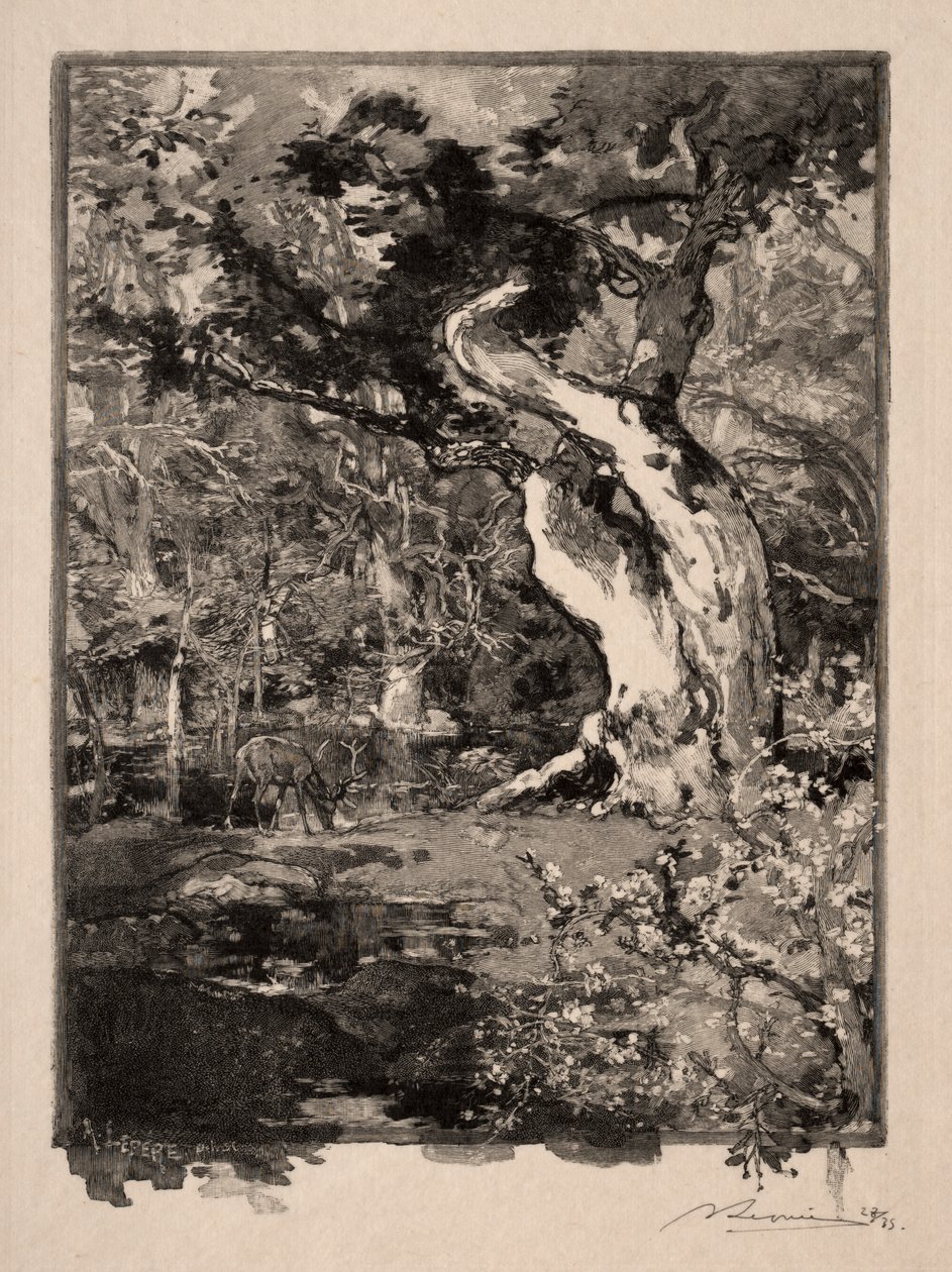 Le Clovis, Plateau de Bellecroix autorstwa Auguste Louis Lepère