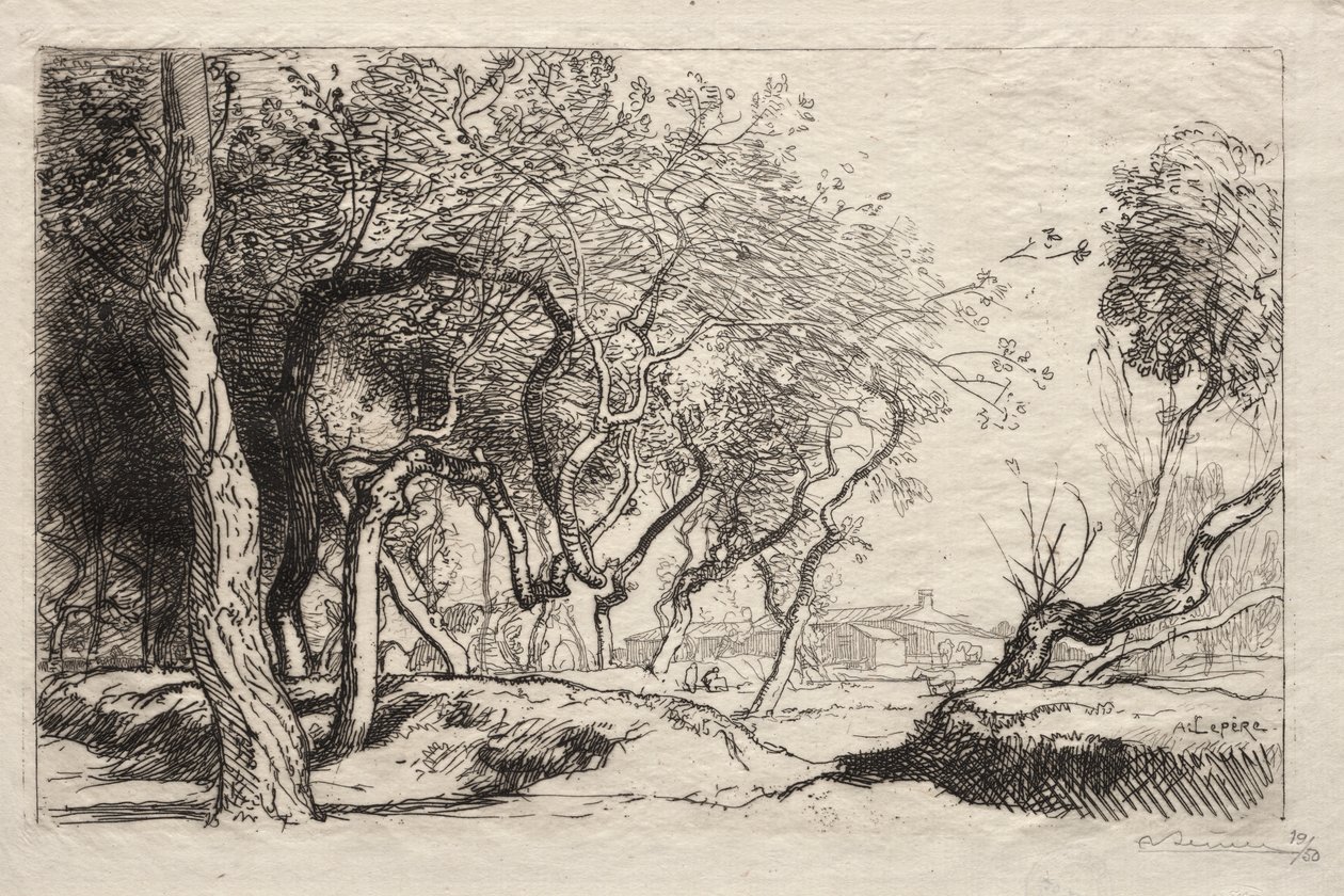 Skręcone drzewo autorstwa Auguste Louis Lepère