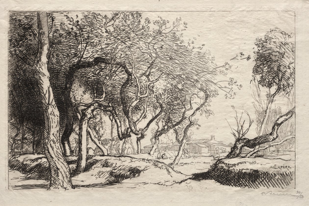 Skręcone drzewo, 1915. autorstwa Auguste Louis Lepère