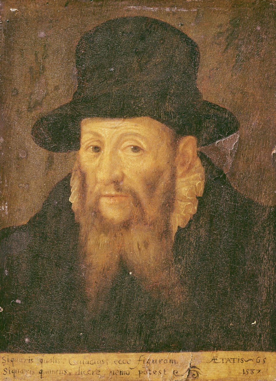Jacques Cujas (1522-90) w wieku 65 autorstwa Augustin II Quesnel