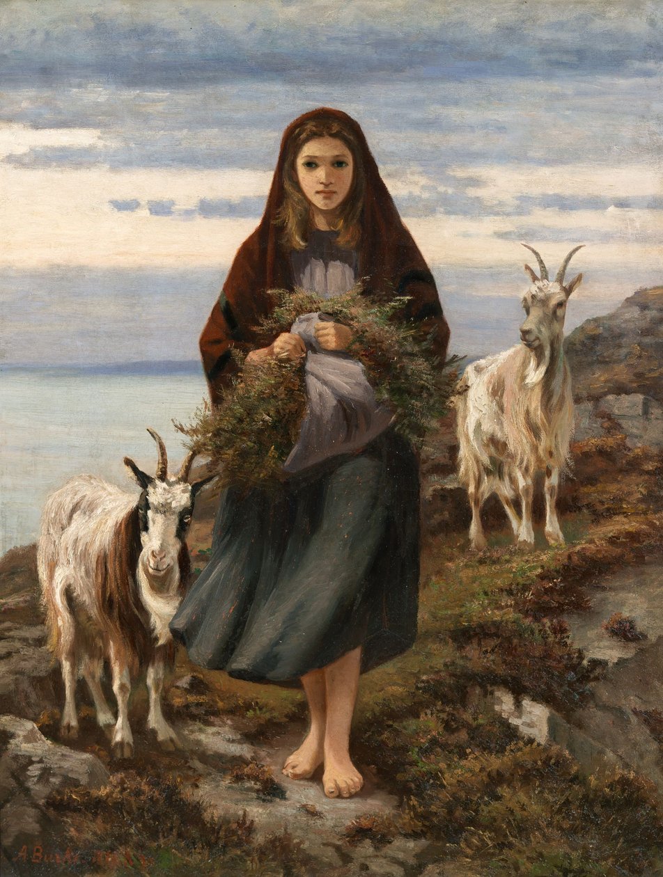 Connemara dziewczyna autorstwa Augustus Nicholas Burke