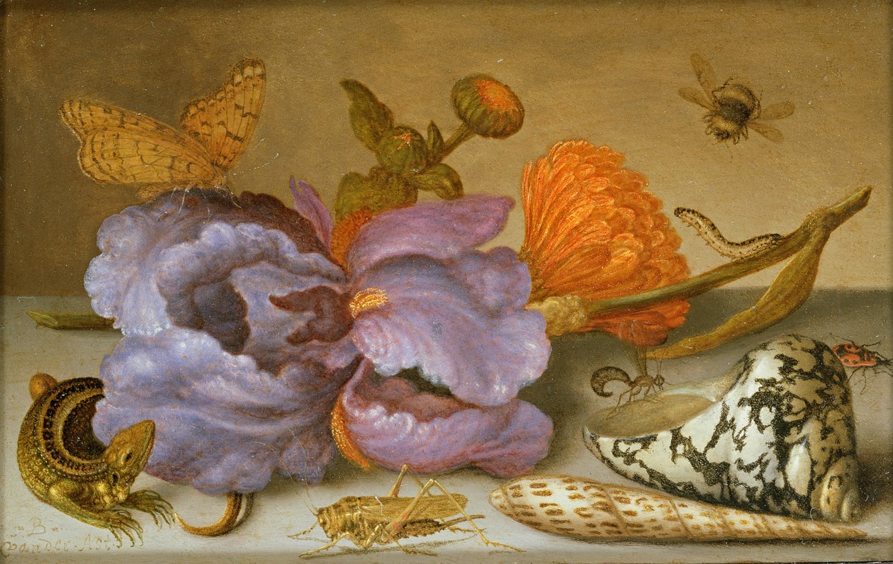 Martwa natura przedstawiająca kwiaty, muszle i owady (olej na miedzi) (dla par patrz 251378) autorstwa Balthasar van der Ast
