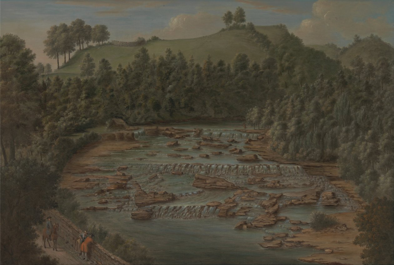 Wodospad Aysgarth, Yorkshire autorstwa Balthasar Nebot