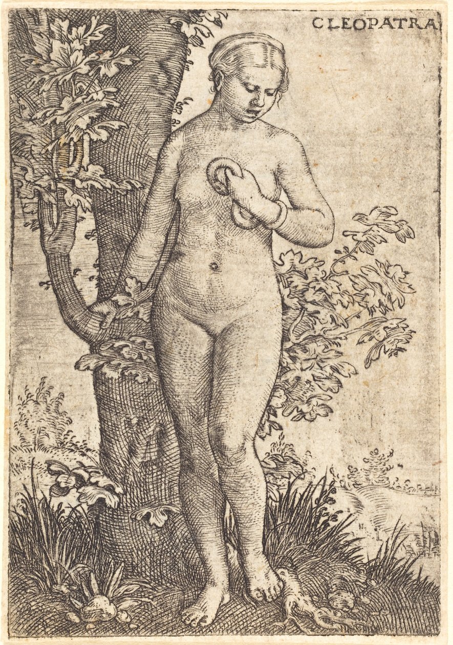 Kleopatra autorstwa Barthel Beham