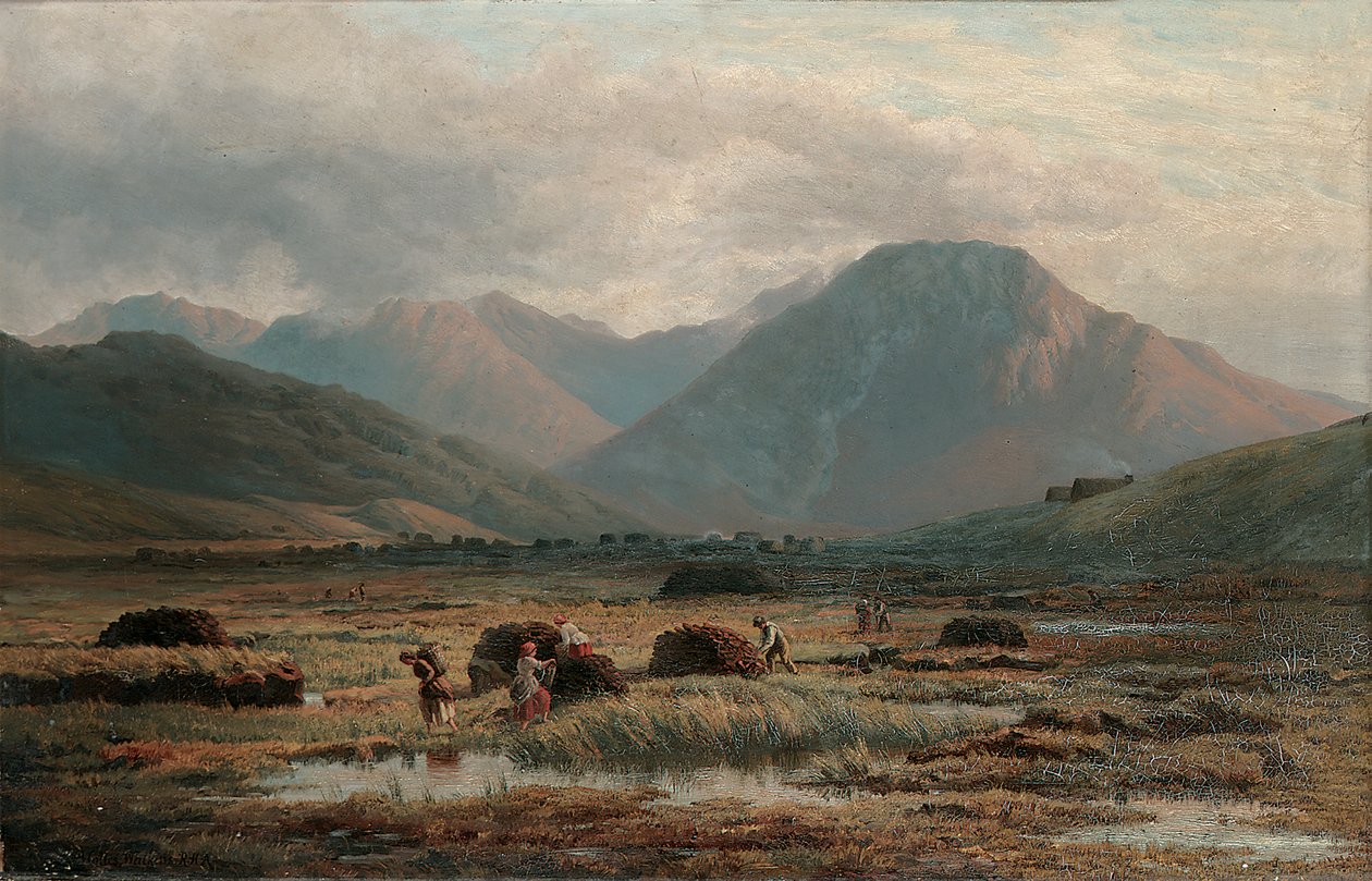 Torfowisko, Płatek Listowy, Connemara autorstwa Bartholomew Colles Watkins