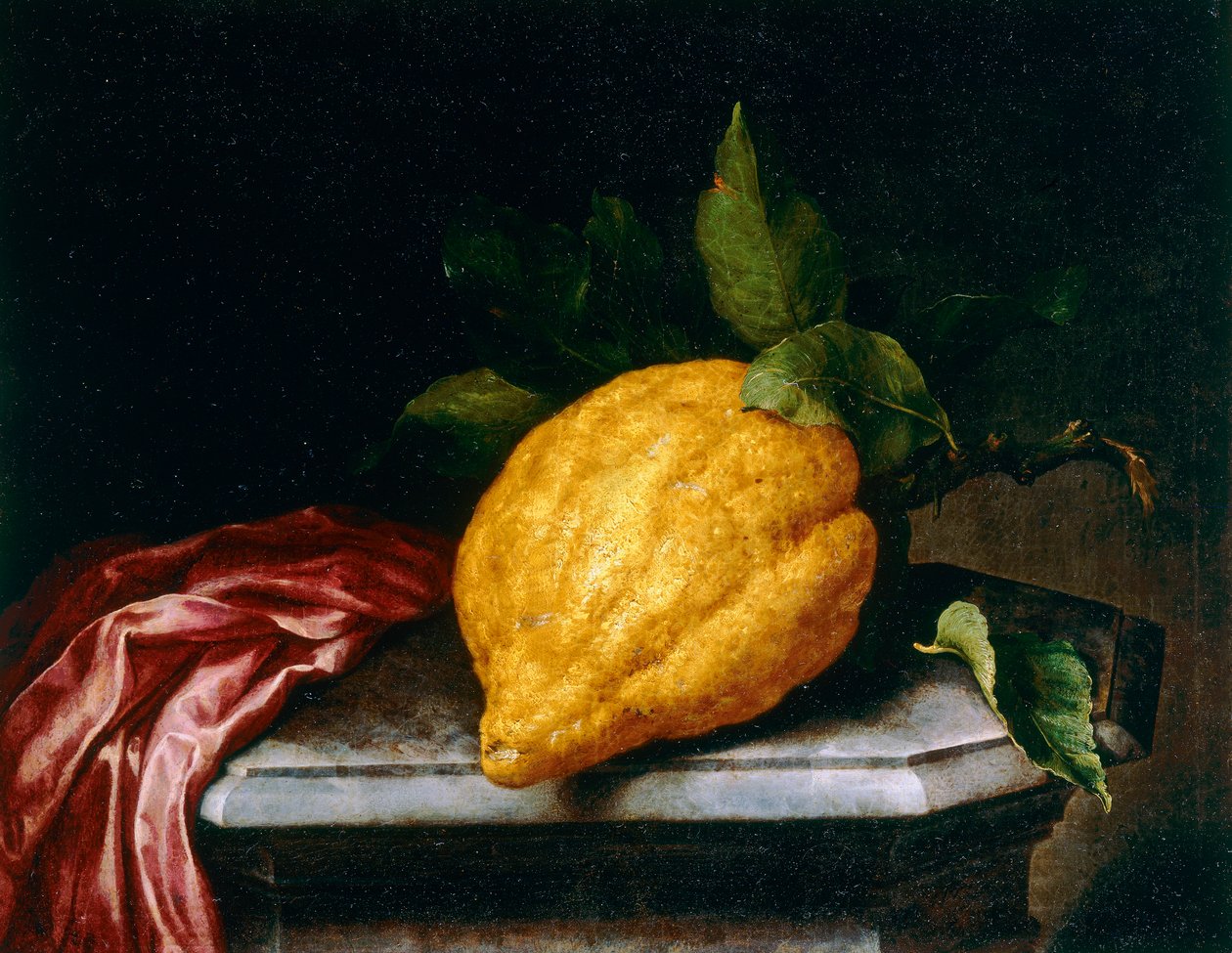 Cytryna autorstwa Bartolomeo Bimbi