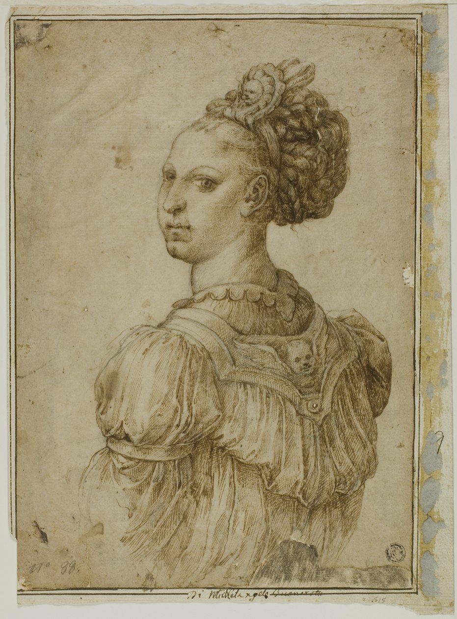 Idealny biust kobiety autorstwa Bartolomeo Passarotti