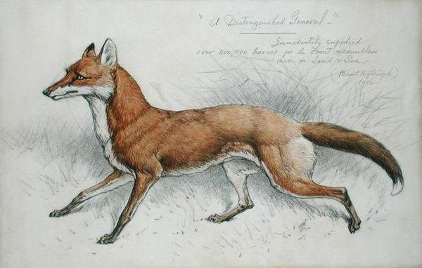 „Dostojny generał” autorstwa Basil J. Nightingale