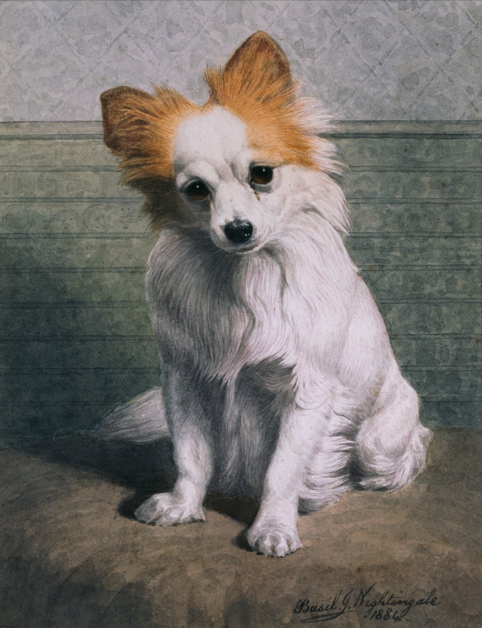 Toy Dog autorstwa Basil J. Nightingale