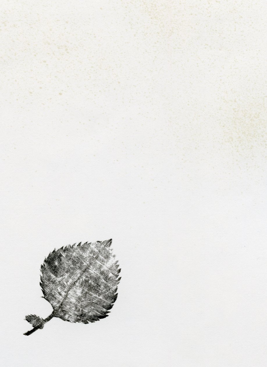 Liść {Fay-erie Dust}, 2014 (drewno i tusz na papierze) autorstwa Bella Larsson