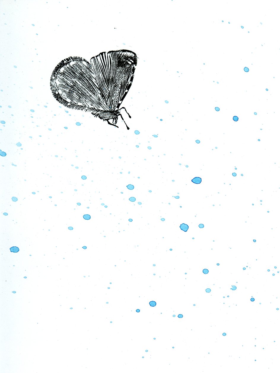 Ćma {Fay-erie Dust}, 2014 (drewno i akwarela na papierze) autorstwa Bella Larsson