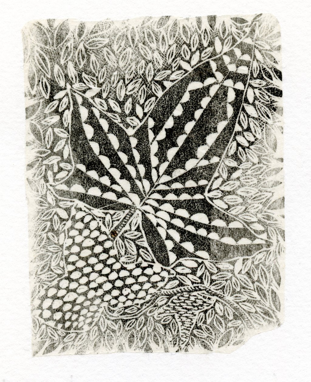Bluszcz, 2014, (drewno na papierze) autorstwa Bella Larsson