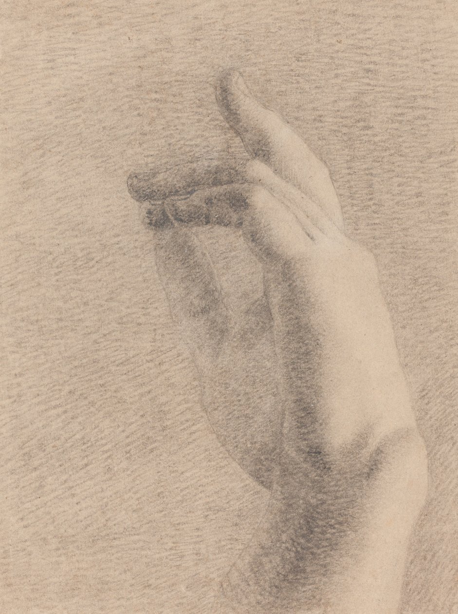 Studium ręki [recto] autorstwa Benjamin Robert Haydon