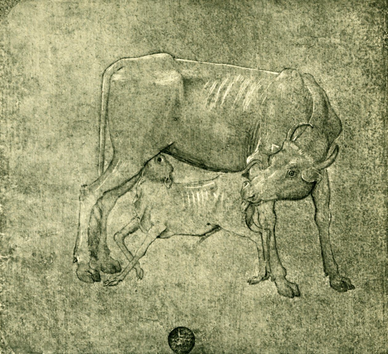 Krowa i cielę, połowa końca XV w., 1943 r. autorstwa Benozzo Gozzoli