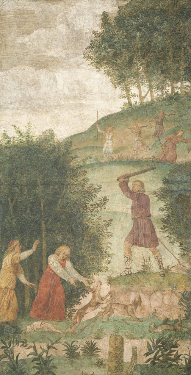 Kefalos ukarany na polowaniu, ok. 1930 r. 15201522. autorstwa Bernardino Luini