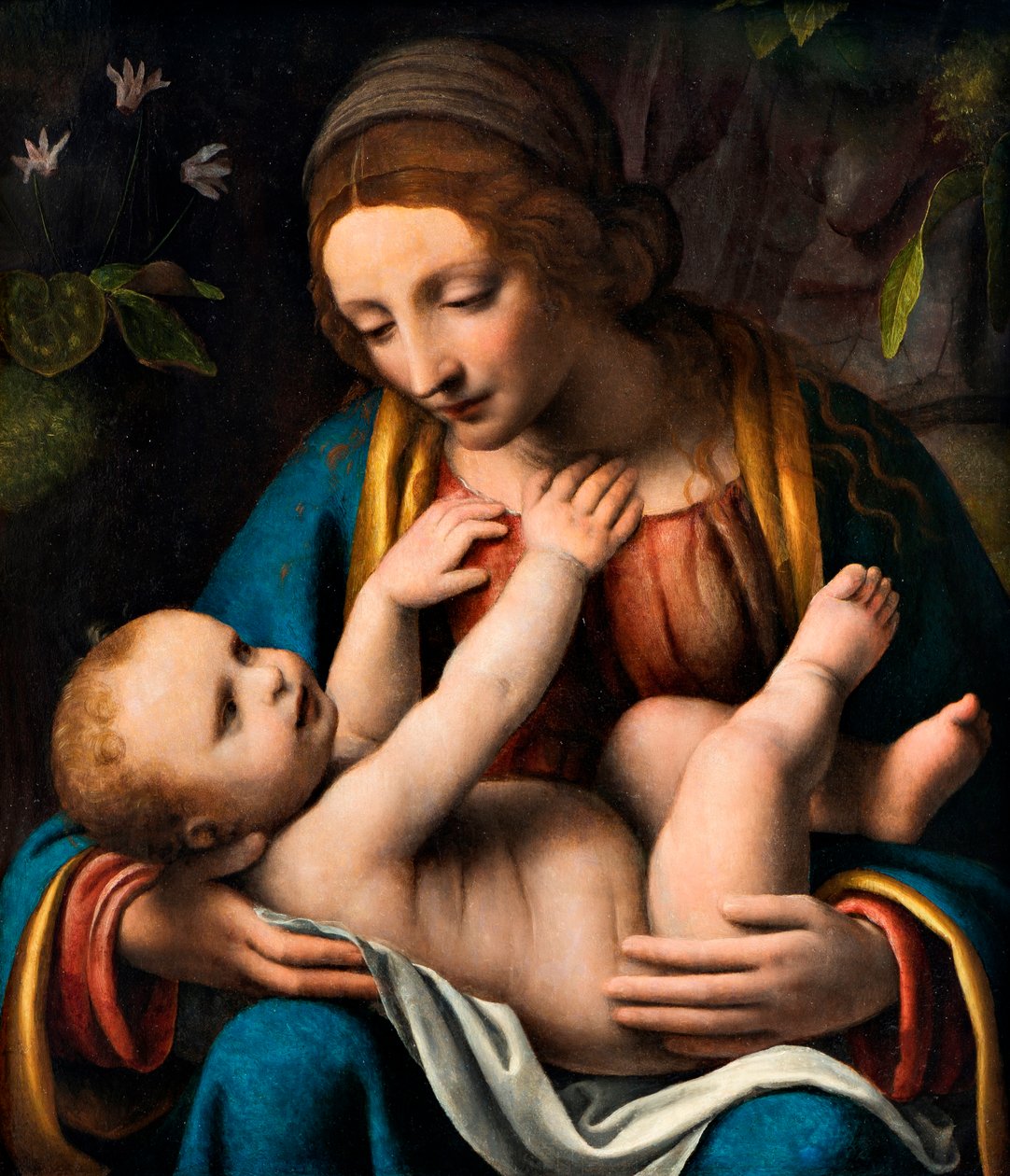 Madonna z Dzieciątkiem, 1515-1523. autorstwa Bernardino Luini