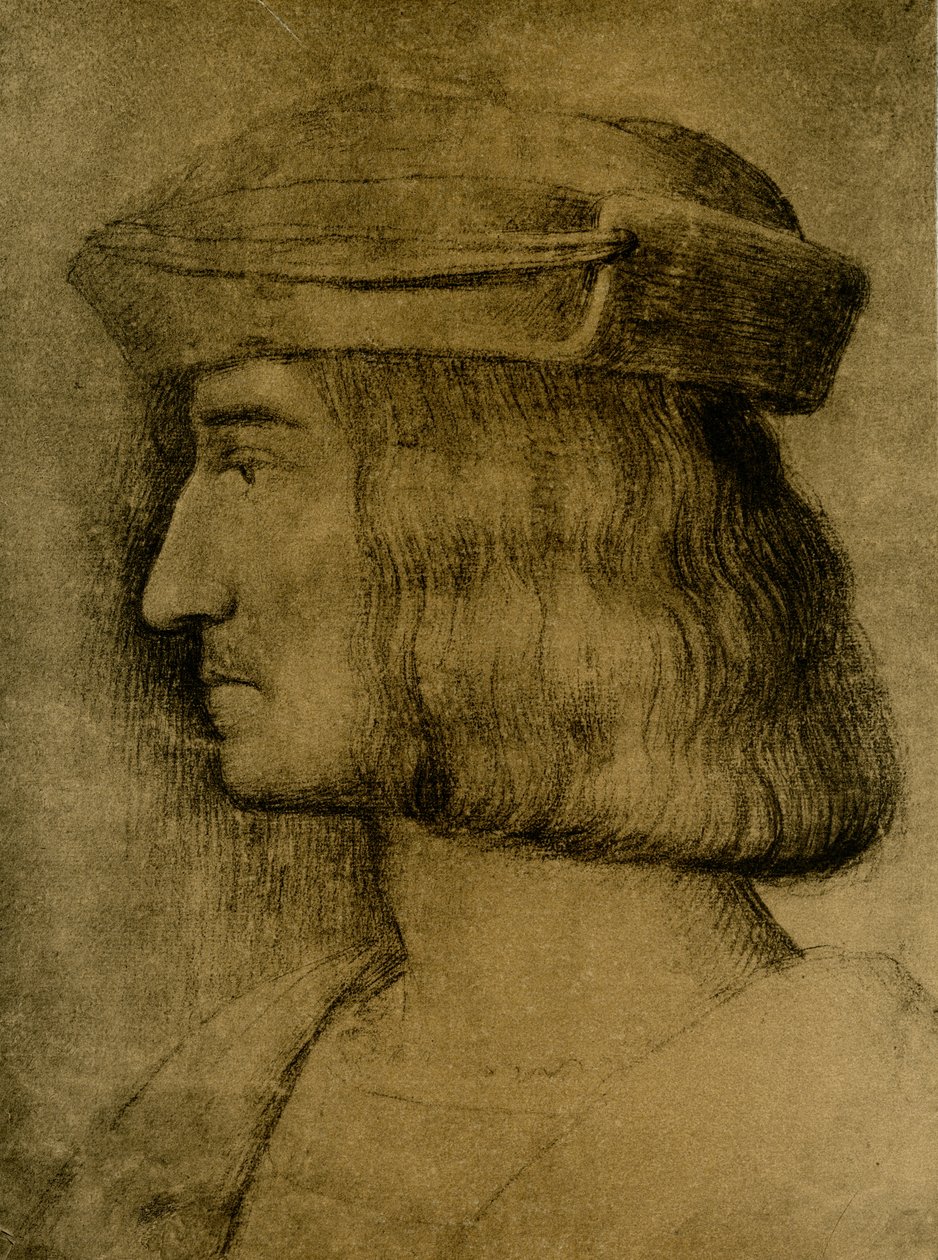Portret męski autorstwa Bernardino Luini