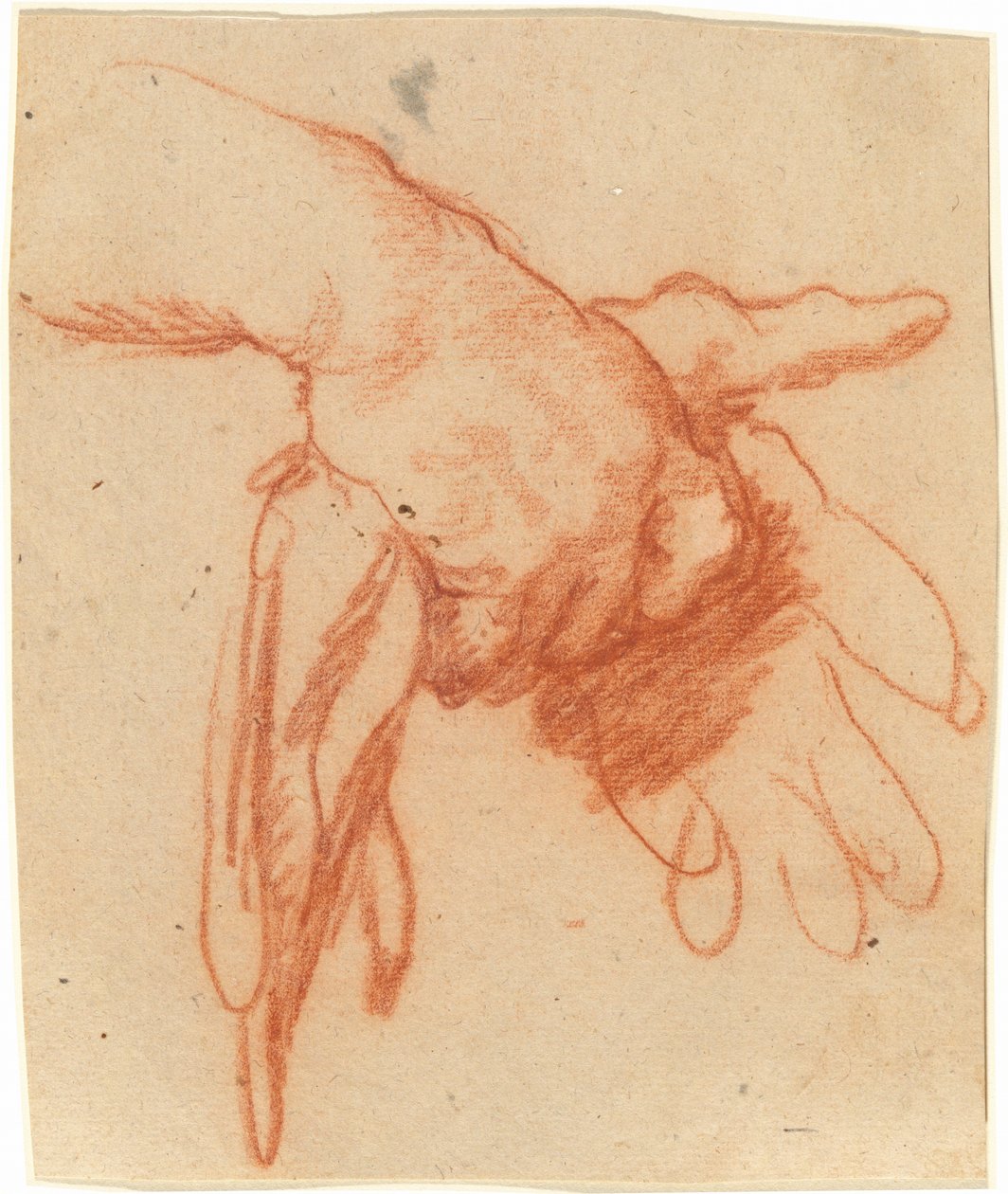 Dłoń trzymająca puste rękawiczki autorstwa Bernardo Strozzi