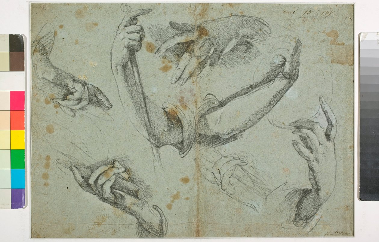 Nieznany obraz autorstwa Bernardo Strozzi