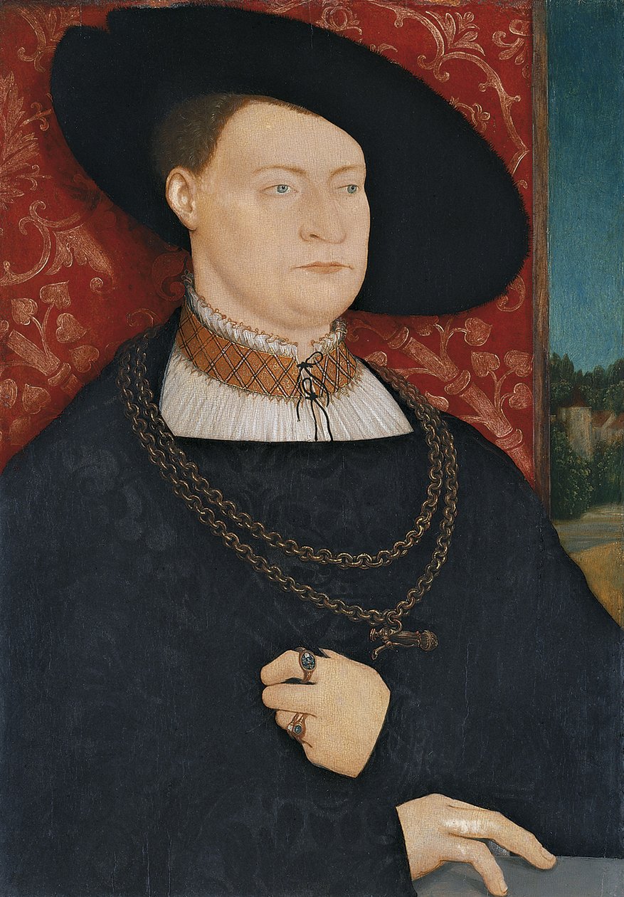Portret mężczyzny autorstwa Bernhard Strigel