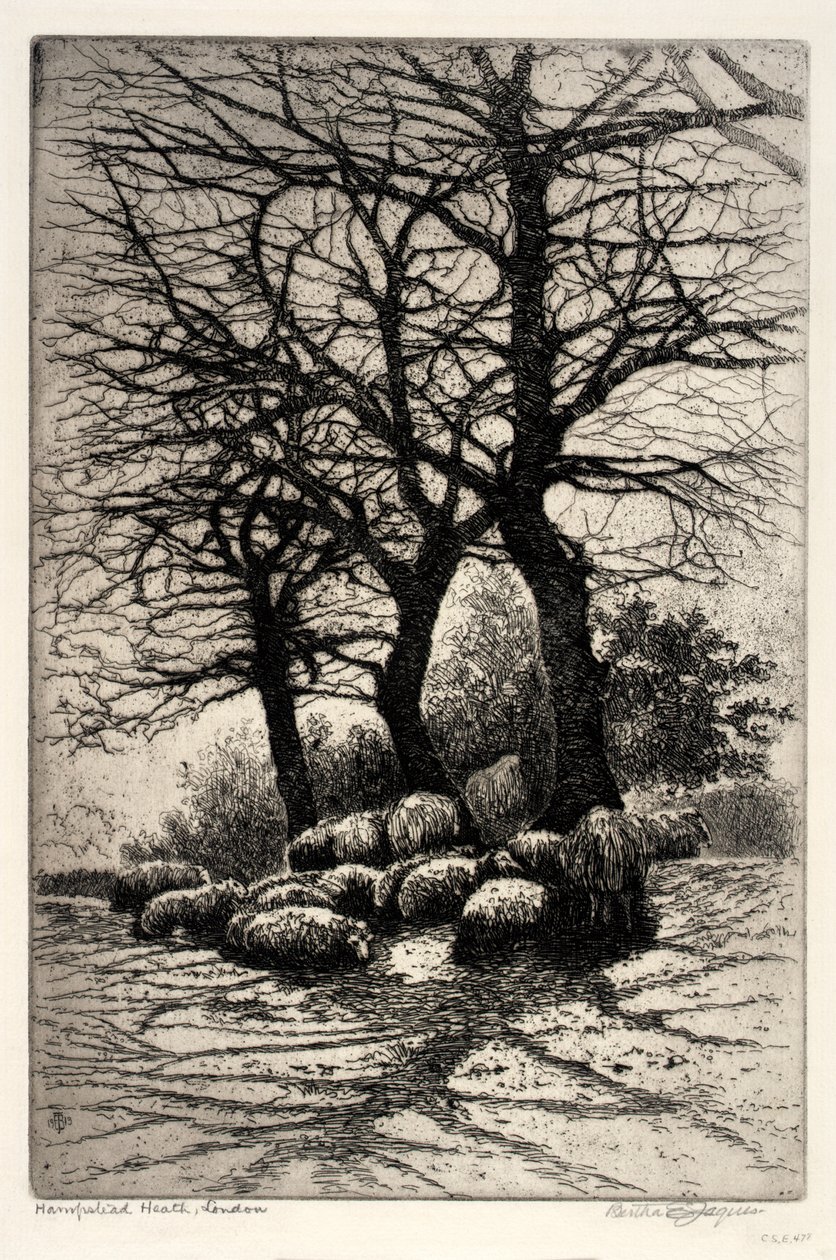 Hampstead Heath, Londyn autorstwa Bertha E. Jaques