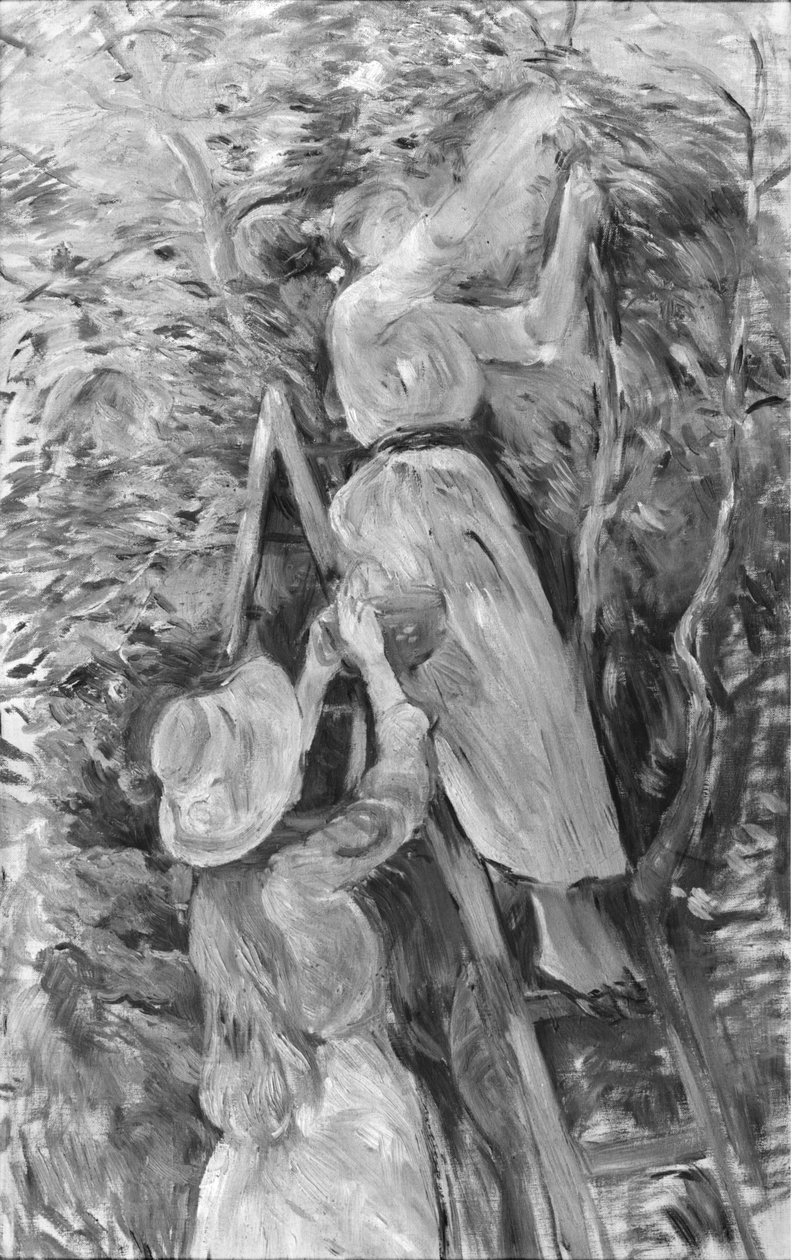 Zbieranie wiśni, 1891 (patrz także 18907) autorstwa Berthe Morisot