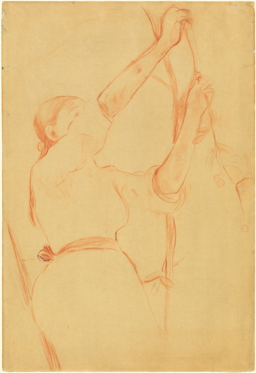 Dziewczyna zbierająca wiśnie, 1891. autorstwa Berthe Morisot