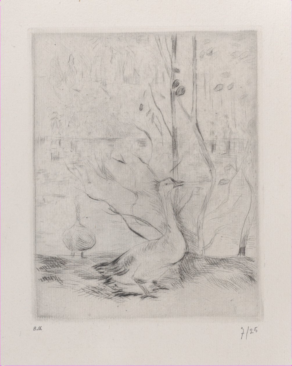 Gęś, 1889. autorstwa Berthe Morisot