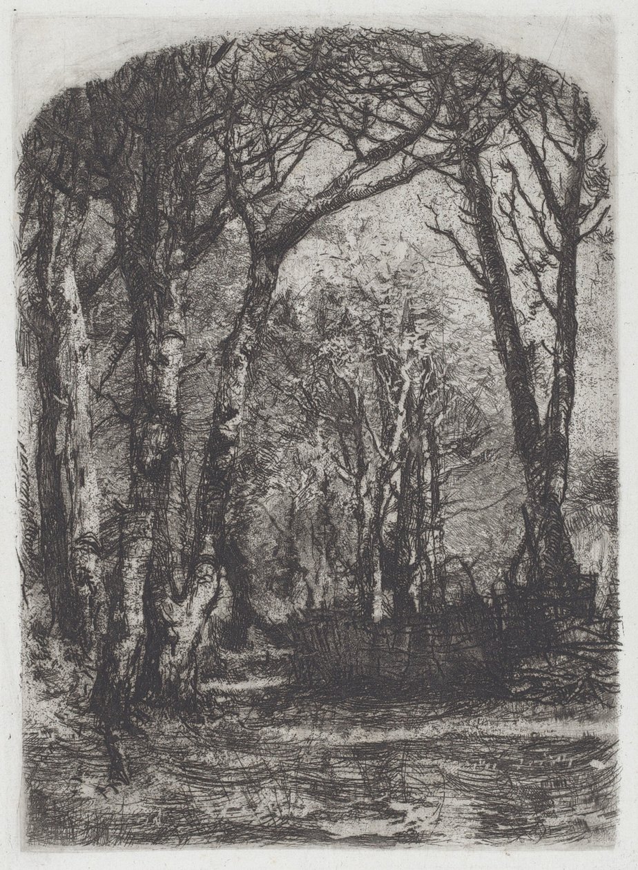 Lasy [Bosco], ok.1895. autorstwa Bianchi Mose