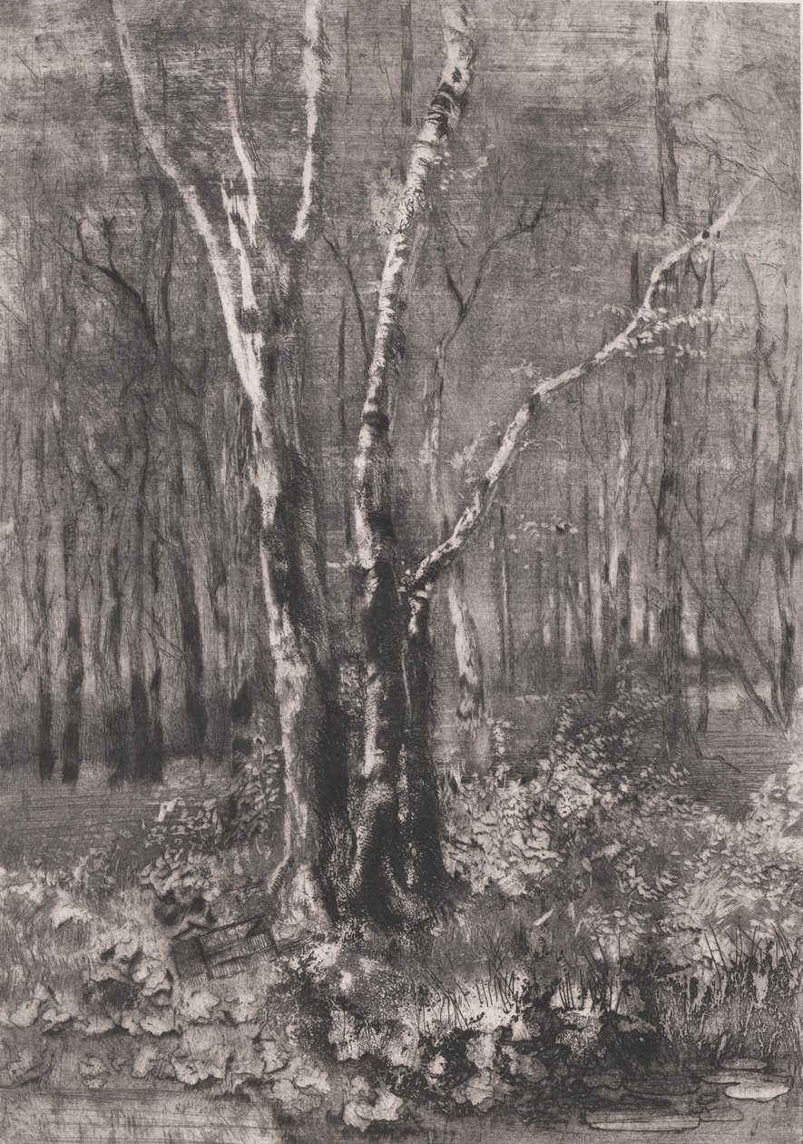 Lasy w parku niedaleko Monzy, 1895. autorstwa Bianchi Mose