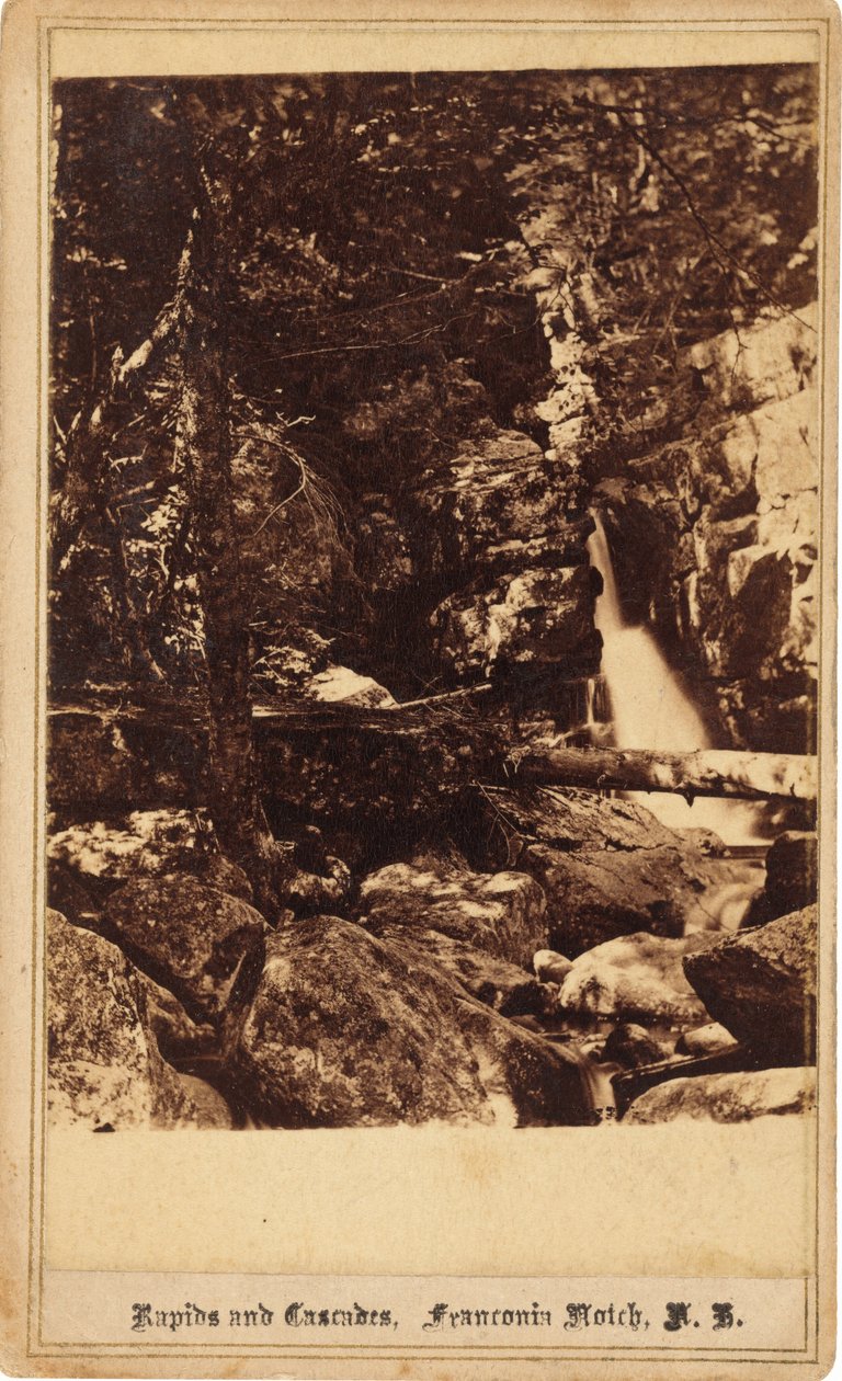 Rapids i Cascades, Franconia Notch, New Hampshire autorstwa Bierstadt Brothers