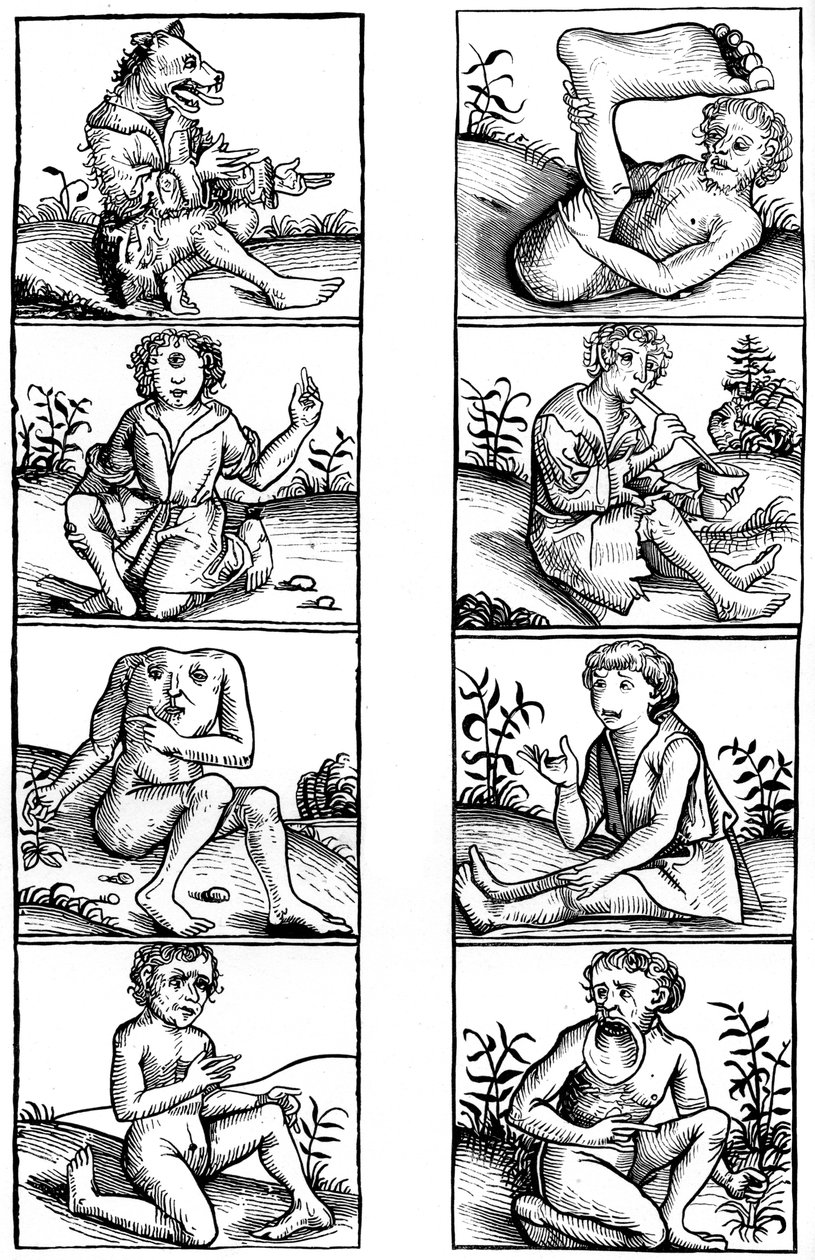 Wierzenia i przesądy ludowe, 1493 1849. autorstwa Bisson and Cottard