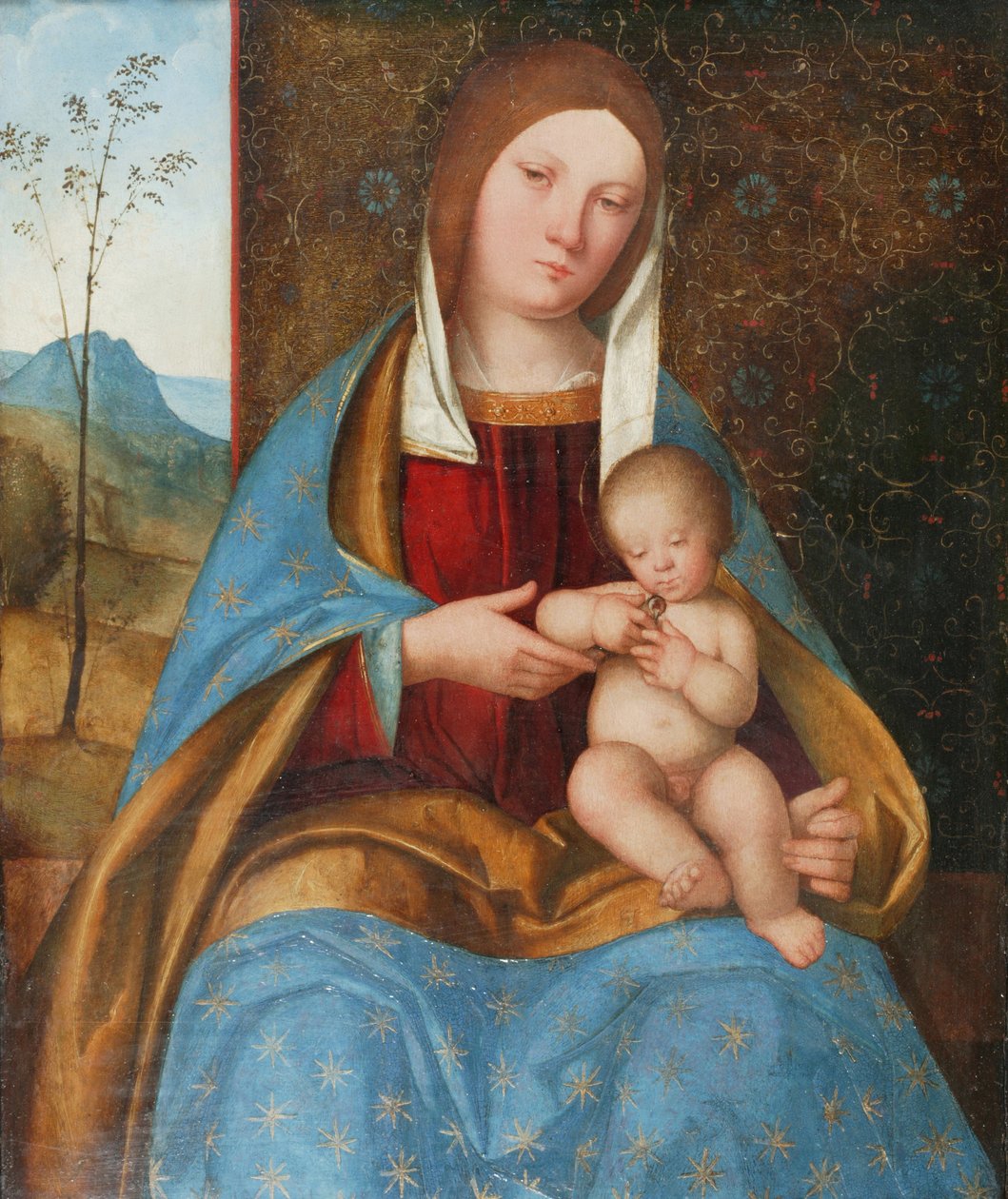 Madonna z Dzieciątkiem (olej na desce) autorstwa Boccaccio Boccaccino