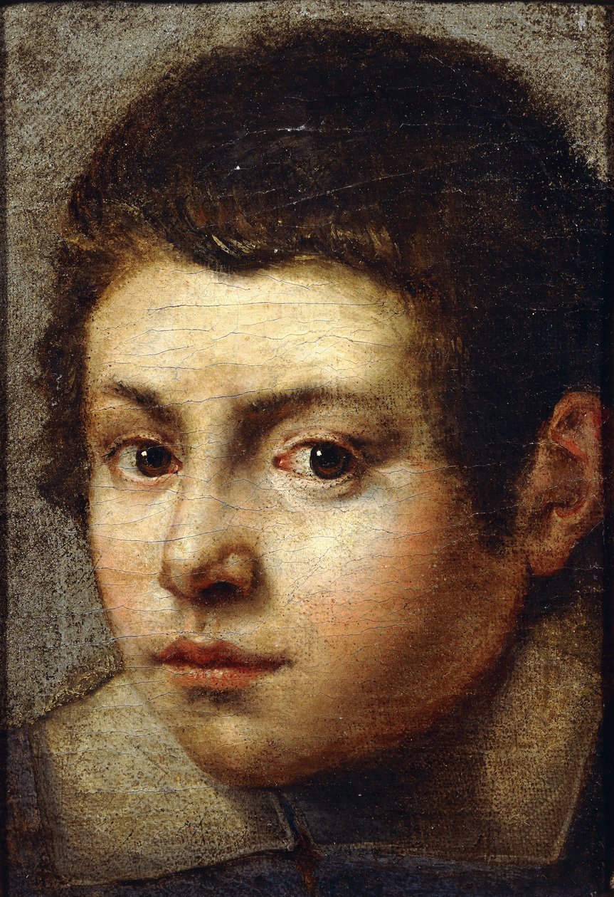 Głowa młodego chłopca, autorstwa Bolognese School