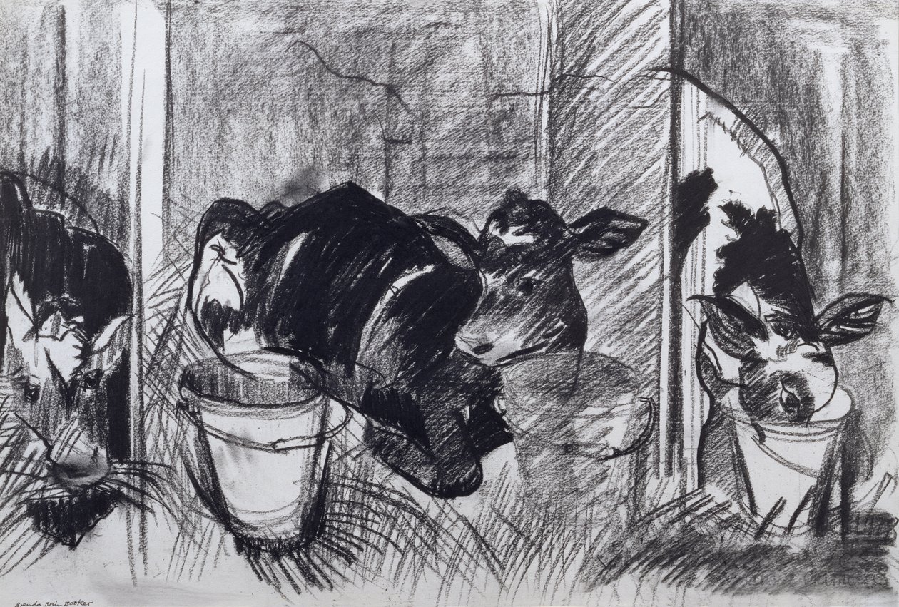 Cielęta (węgiel na papierze) autorstwa Brenda Brin Booker